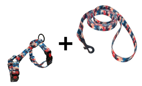 Gwiezdny Zestaw Spacerkowicza