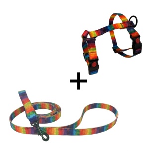 Tęczowy Zestaw Spacerkowicza