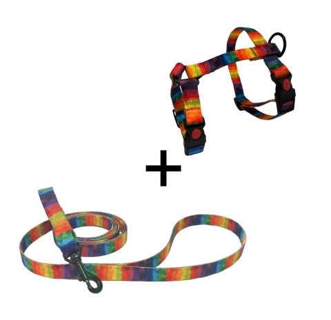 Tęczowy Zestaw Spacerkowicza