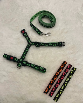 Zestaw Spacerkowicza W Łapki