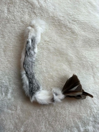 Pałeczka - Leśna Zdobycz