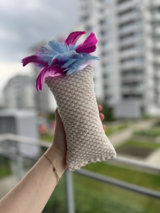 Pierzasta Poduszeczka