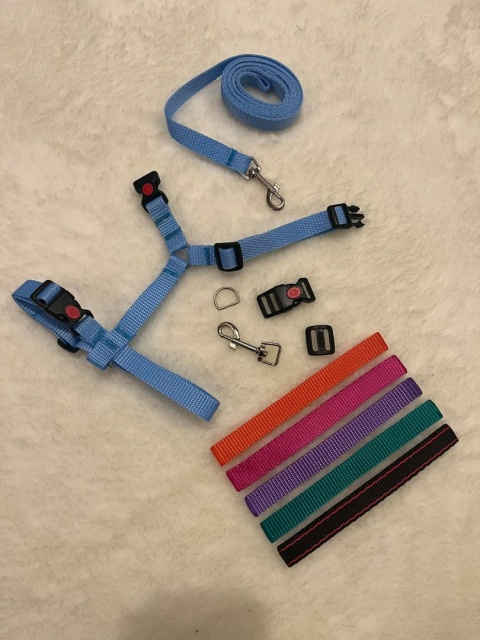 Kolorowy Zestaw Spacerkowicza