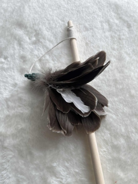 Wędeczka - Łapeczka