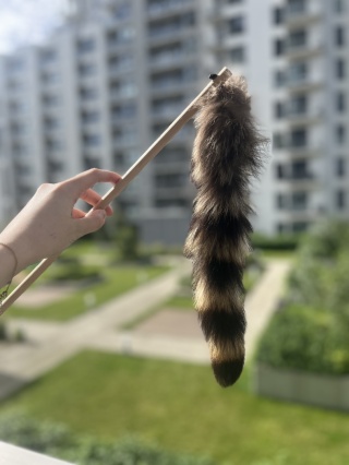 Wędka - Szopik